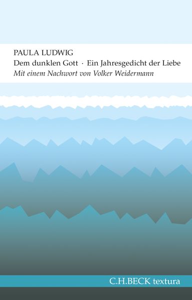 Cover von Dem dunklen Gott