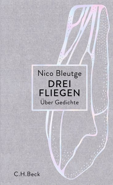 Cover von Drei Fliegen