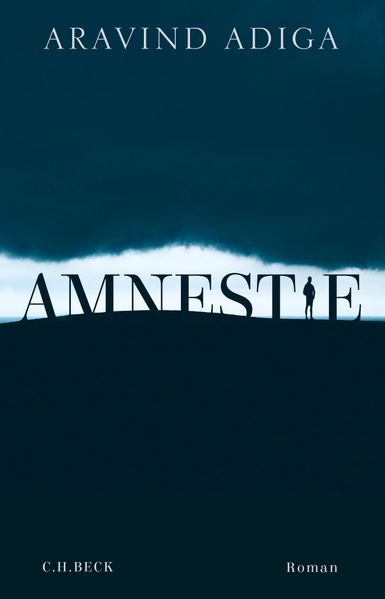Cover von Amnestie
