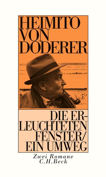 Cover von Die erleuchteten Fenster oder Die Menschwerdung des Amtsrates Julius Zihal
