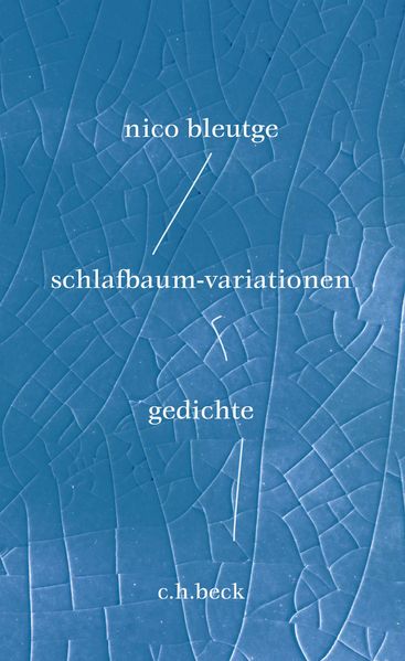 Cover von Schlafbaum-Variationen