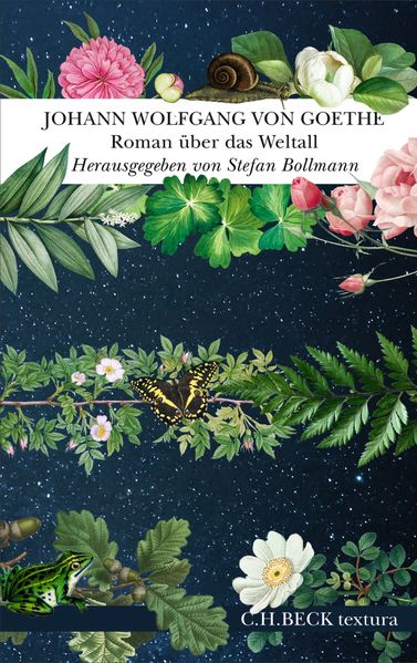Cover von Roman über das Weltall
