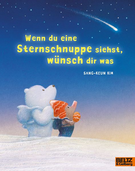 Cover von Wenn du eine Sternschnuppe siehst, wünsch dir was