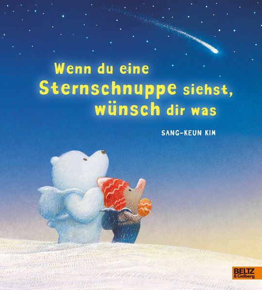 Cover von Wenn du eine Sternschnuppe siehst, wünsch dir was