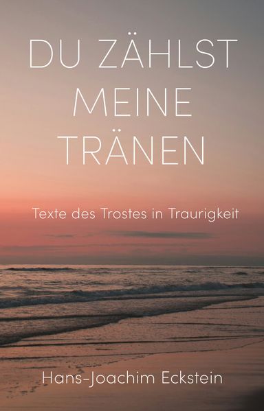 Cover von Du zählst meine Tränen