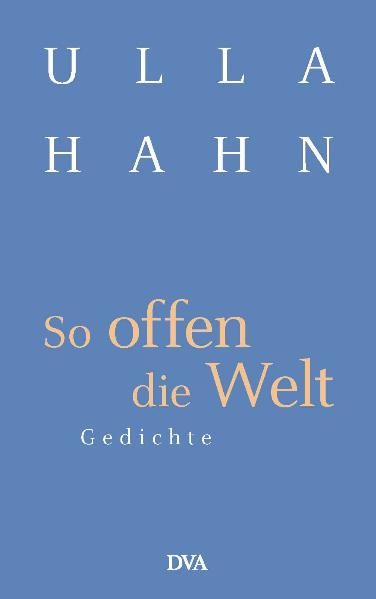Cover von So offen die Welt