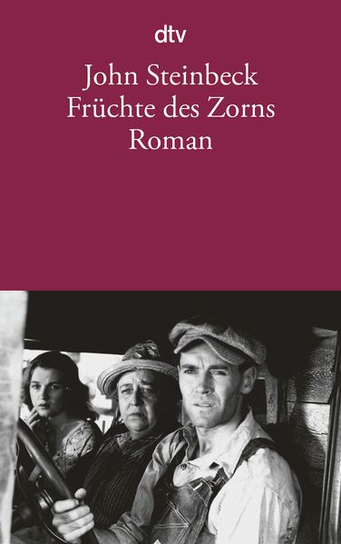 Cover von Früchte des Zorns