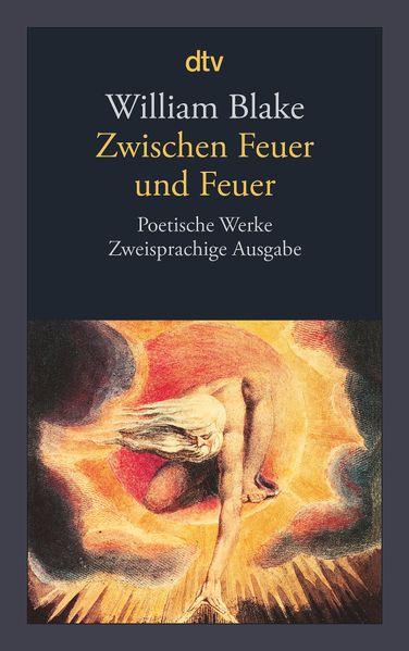 Cover von Zwischen Feuer und Feuer