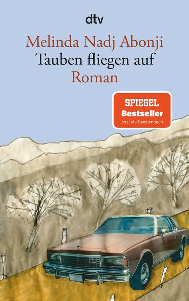 Cover von Tauben fliegen auf