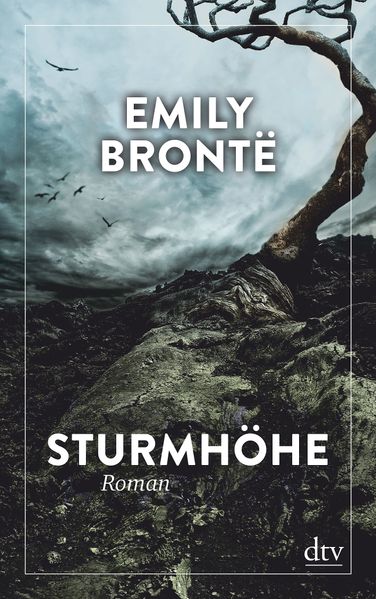 Cover von Sturmhöhe