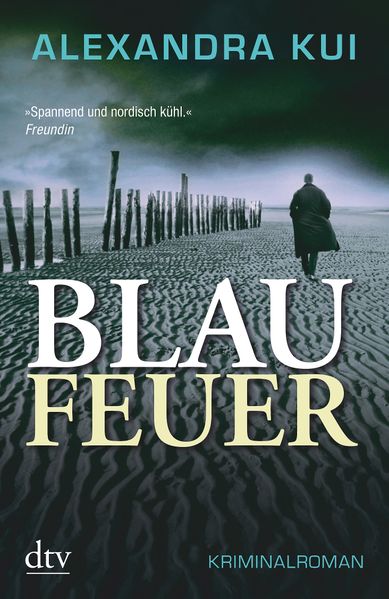 Cover von Blaufeuer