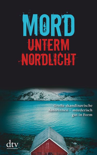 Cover von Mord unterm Nordlicht