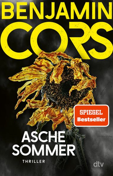 Cover von Aschesommer