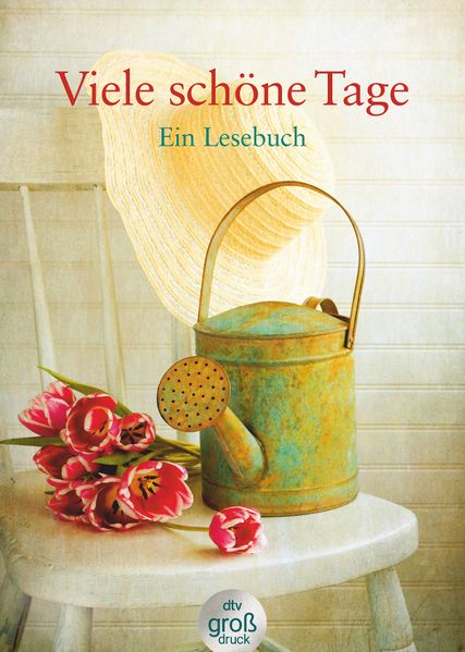 Cover von Viele schöne Tage