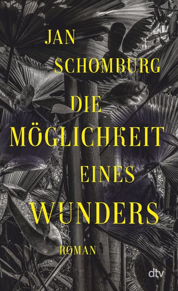 Cover von Die Möglichkeit eines Wunders