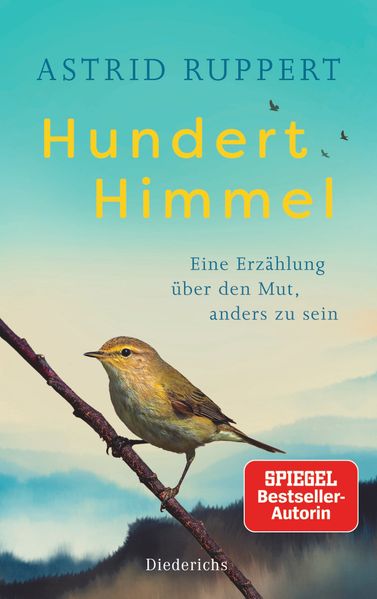 Cover von Hundert Himmel