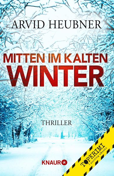 Cover von Mitten im kalten Winter