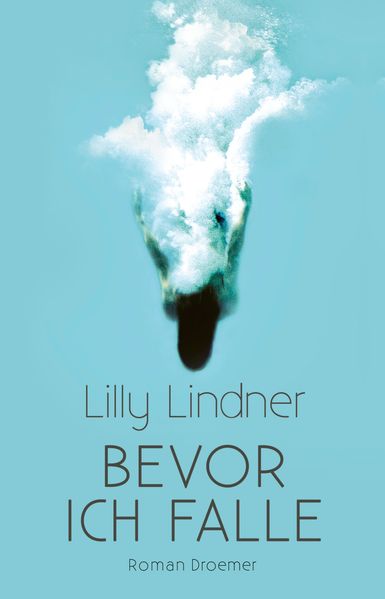 Cover von Bevor ich falle