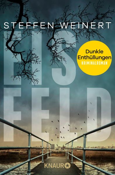 Cover von Eisfeld – dunkle Enthüllungen