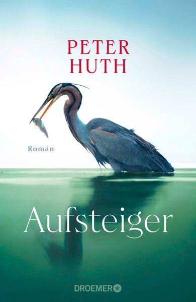 Cover von Aufsteiger
