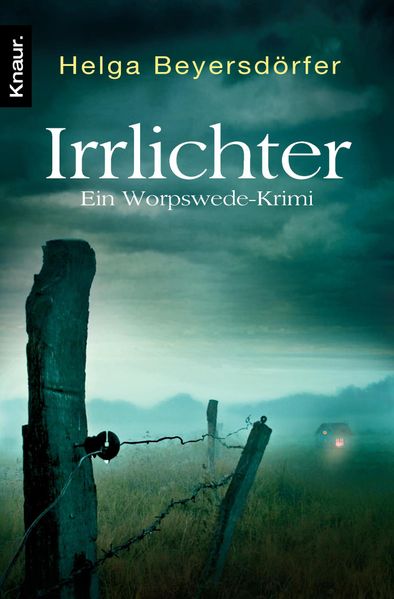 Cover von Irrlichter