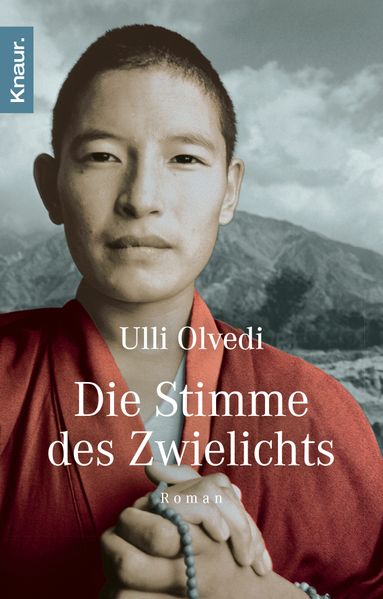 Cover von Die Stimme des Zwielichts