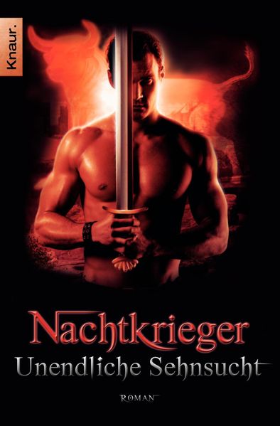 Cover von Nachtkrieger: Unendliche Sehnsucht