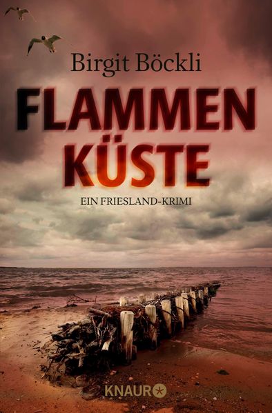 Cover von Flammenküste
