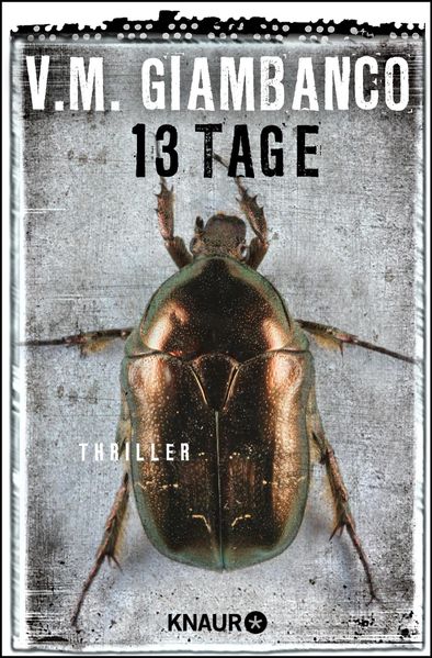 Cover von Dreizehn Tage
