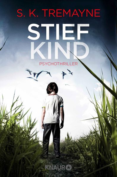 Cover von Stiefkind