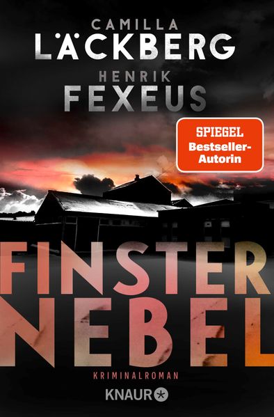Cover von Finsternebel