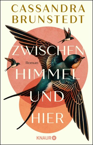 Cover von Zwischen Himmel und hier
