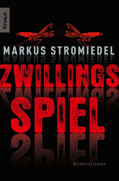 Cover von Zwillingsspiel