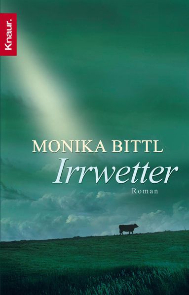 Cover von Irrwetter