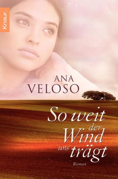 Cover von So weit der Wind uns trägt