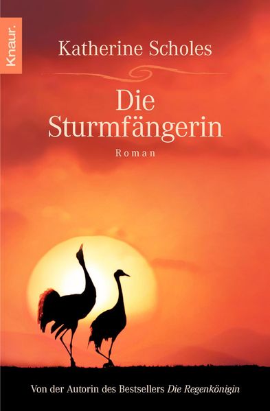 Cover von Die Sturmfängerin