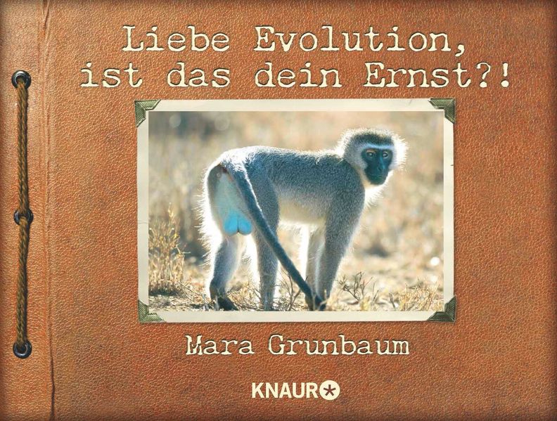 Cover von Liebe Evolution, ist das dein Ernst?!