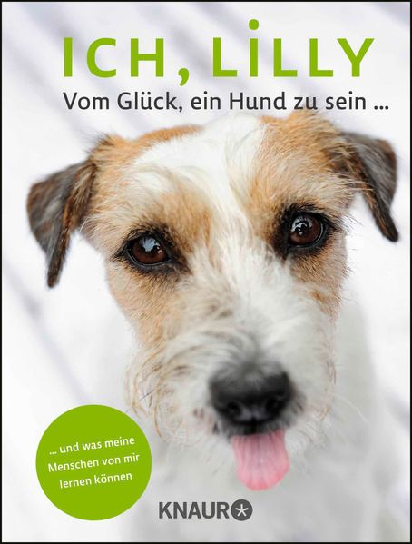Cover von Ich, Lilly