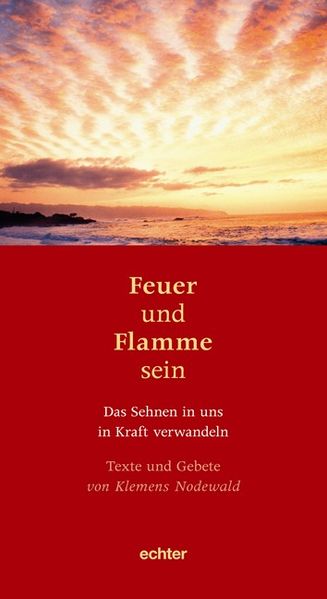 Cover von Feuer und Flamme sein