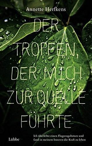 Cover von Der Tropfen, der mich zur Quelle führte