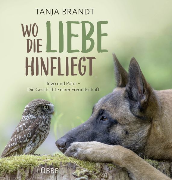 Cover von Wo die Liebe hinfliegt