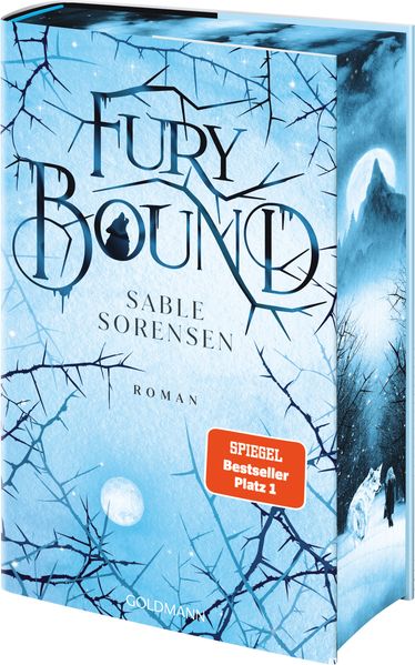 Cover von Fury Bound