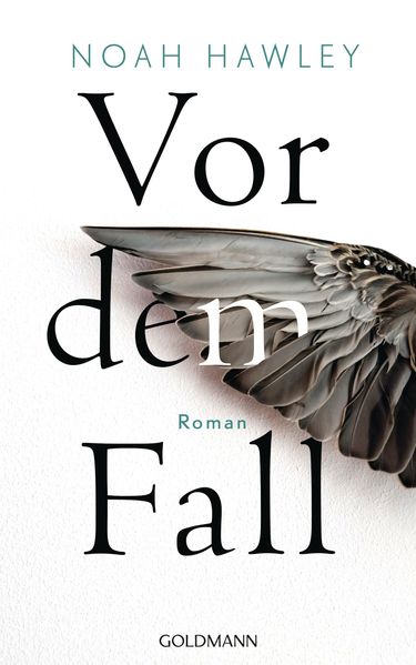 Cover von Vor dem Fall