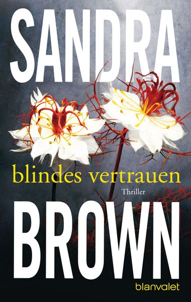 Cover von Blindes Vertrauen