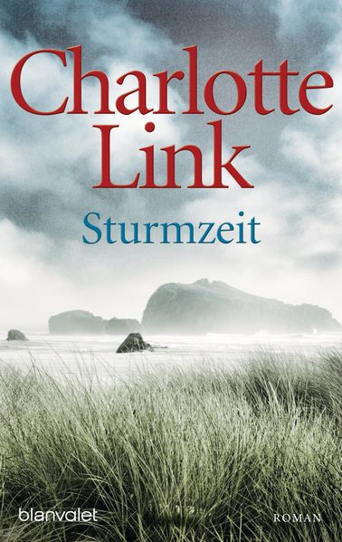 Cover von Sturmzeit