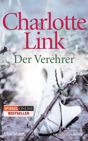 Cover von Der Verehrer