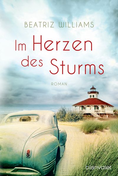 Cover von Im Herzen des Sturms