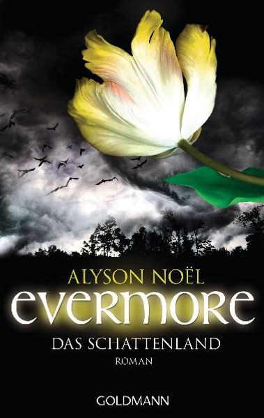 Cover von Evermore 3 – Das Schattenland