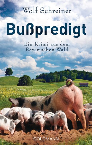 Cover von Bußpredigt