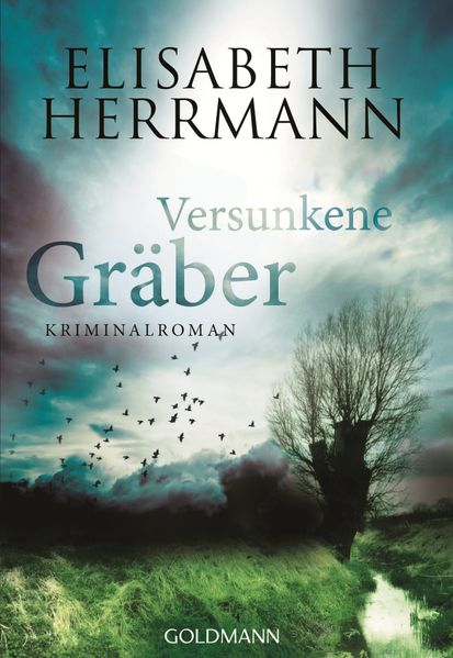 Cover von Versunkene Gräber